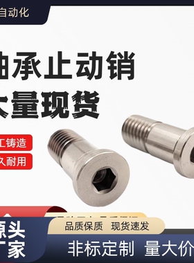 BGP BGPM10 12-15 16 17 18-L20 L25 L30 L40 L50 L60 轴承止动销