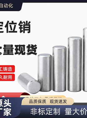 小径定位销 高硬度不锈钢 直柱型 CFKKS CPKKS CTKKS CXKKS