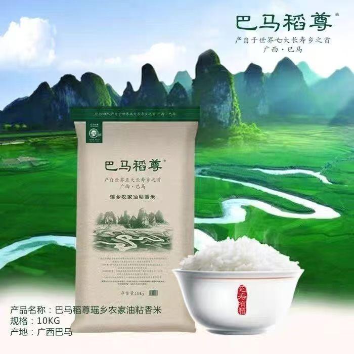 广西巴马尊油粘香米10kg正宗瑶乡生态放心米20斤长寿之乡特产新米