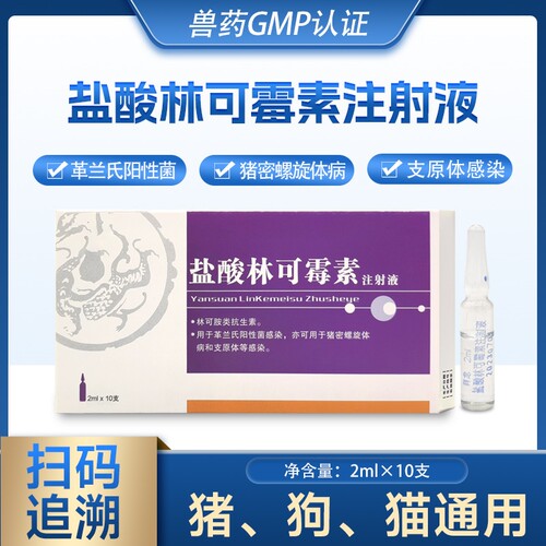 盐酸林可霉素猪产消炎咳嗽支原体