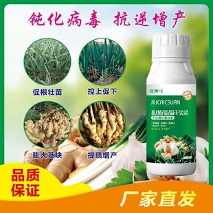 大葱病全治大葱干尖灵杀菌剂韭菜黄叶病灰霉病叶子干枯发黄专用药