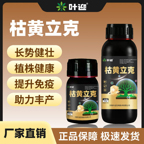 叶迎枯黄立克生物菌肥健壮丰产