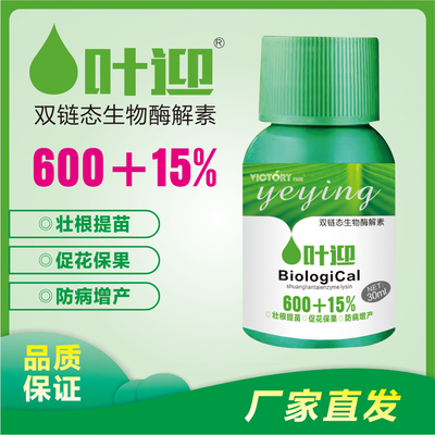 叶迎双肽生物酶解素番茄草莓辣椒黄瓜壮根上色膨果去酸增甜叶面肥