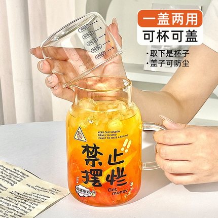 玻璃杯大容量带盖杯子家用喝水杯女新款2024耐热带把刻度男泡茶杯