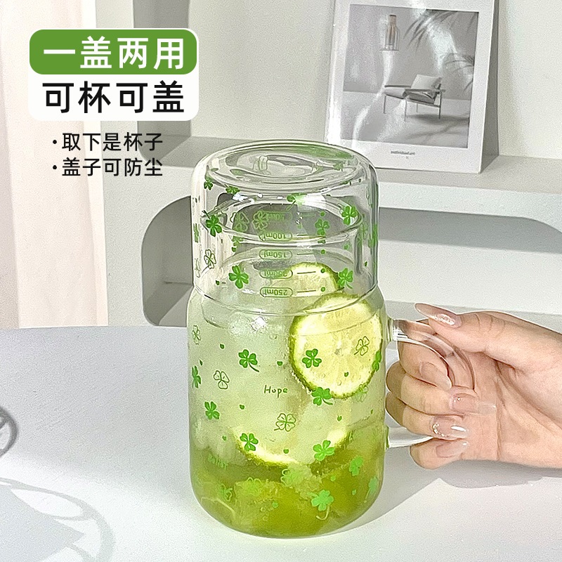 冷泡茶玻璃杯一人泡茶壶高硼硅水壶家用冷水壶带盖耐高温可微波咖