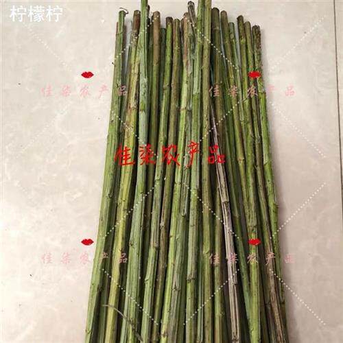 直销赶海工具钓虾羊毛笔钓蝼蛄虾毛笔羊毛签子泸沽虾羊毛笔包邮