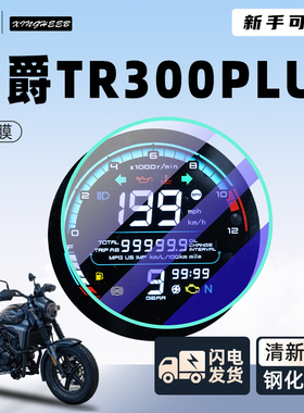 豪爵TR300plus专用仪表膜摩托车钢化膜贴膜隐形车衣保护改装配件