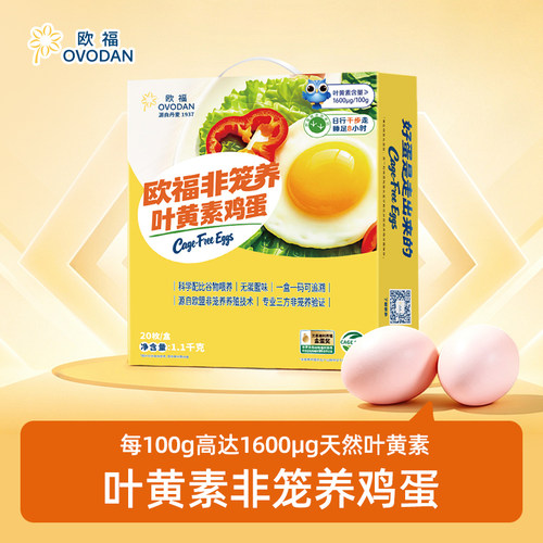 非笼养整箱新鲜鸡蛋欧福