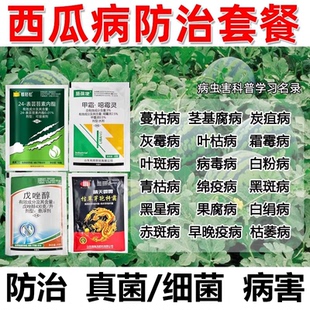 西瓜病防治套餐炭疽病青枯病叶枯病霜霉病黑星病农用治病套餐