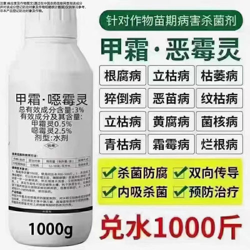 甲霜恶霉灵黄瓜枯萎立病果