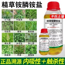 精草胺磷膦胺盐精草铵磷铵盐官方旗舰店烂根除草农用药灭草除草剂