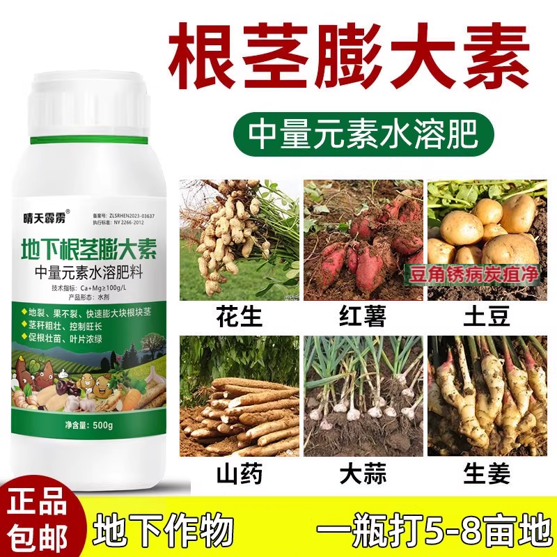 地下作物根茎膨大素膨大素