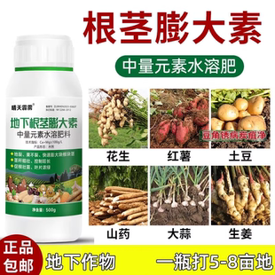 根茎块茎膨大素地下膨大地瓜山药葱姜蒜红薯花生叶面水溶肥料