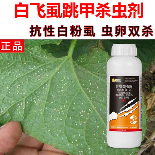 联菊啶虫脒白粉虱农用药蚜虫小黑飞蔬菜番茄辣椒花果树农药杀虫剂