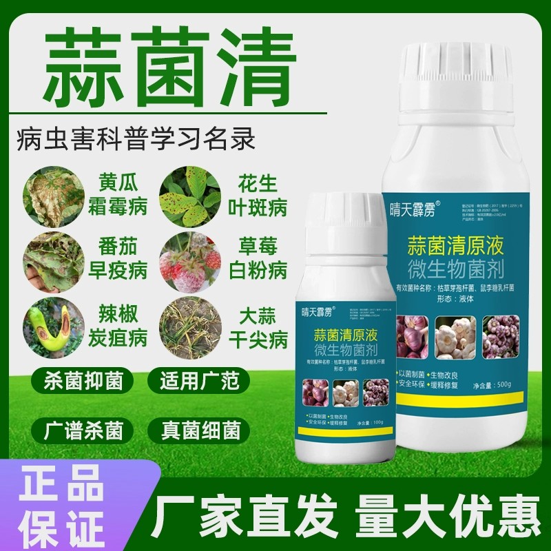 蒜菌清原液大蒜锈病紫斑干尖黄叶青枯病杀菌抑菌微生物菌剂