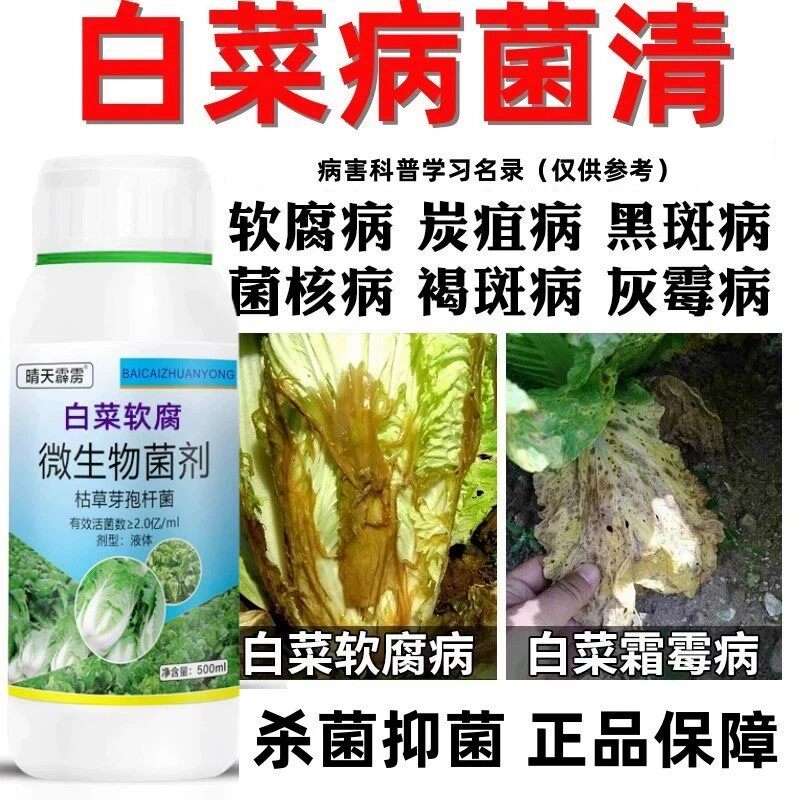 白菜病害药病菌清白菜防腐防烂药大白菜烂根黄叶腐烂软腐病灰霉病
