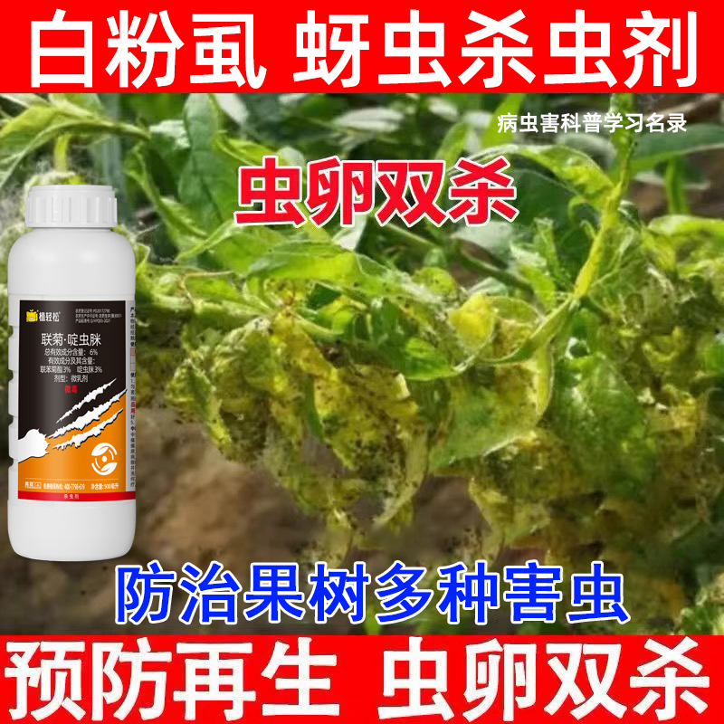 跳甲杀虫剂打叶甲黄守瓜黄曲条跳甲二十八星瓢虫紫茎甲药杀虫剂