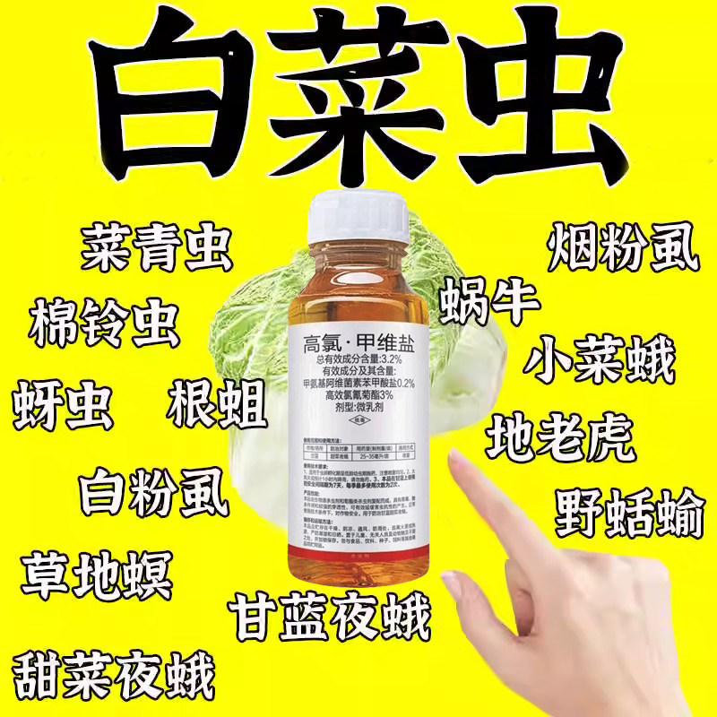 ���ڲ������ײ˸��ȼ�ά��ɱ������ҹ������С�˶��������ĳ����׾�Ҷ��