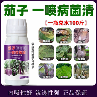 茄子病菌清茄子炭疽病黄萎病疫病灰霉病根腐病枯萎病防治杀菌剂