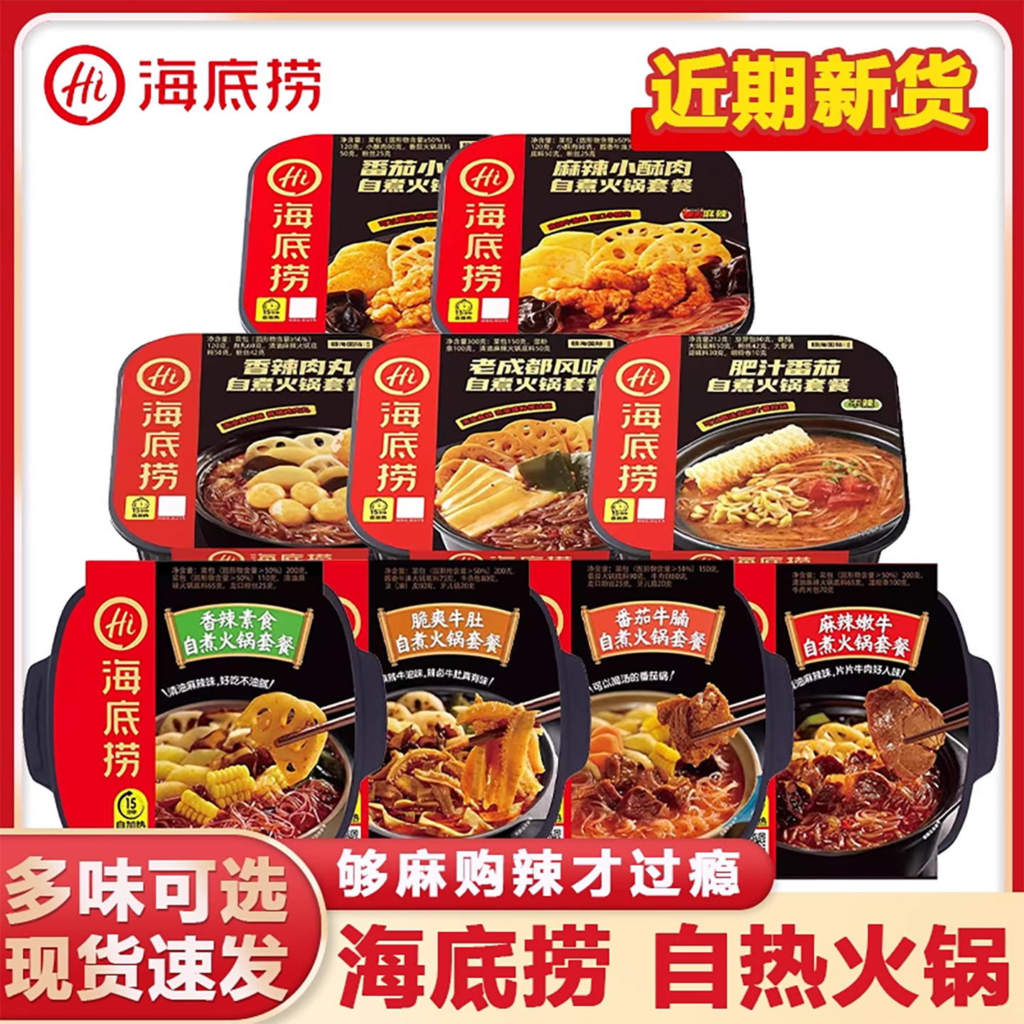 海底捞自热火锅盒装方便速食