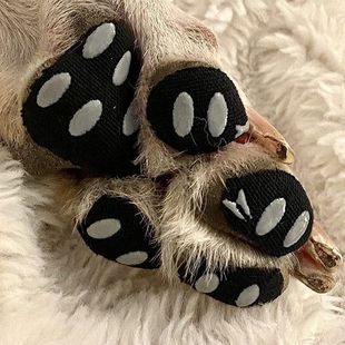 set Patch Ivisible Foot Pet Ati 速發(fā)4 Skid proof
