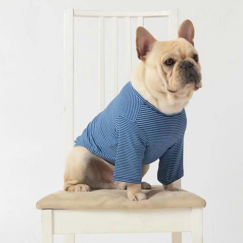 速发 pet othig i sprig ad sumr casu dog othig T