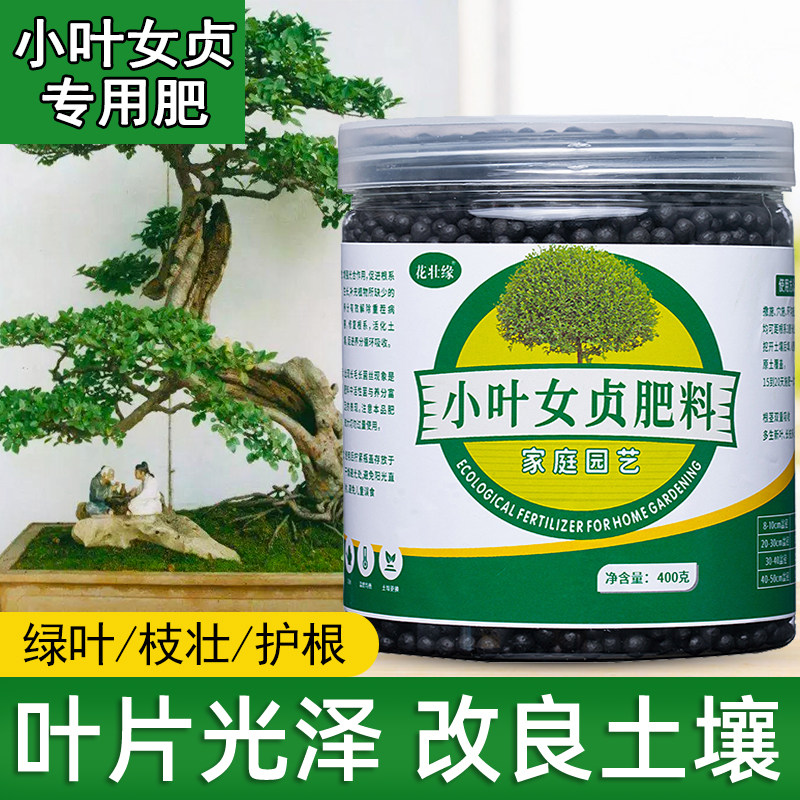 速发小叶贞盆景专用肥叶小水蜡树营养液喷有肥造型树常年茂盛叶机,鲜花速递/花卉仿真/绿植园艺,家庭园艺肥料,淘宝优惠券,粉丝福利购,淘宝优惠卷