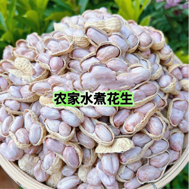 龙岩花生农家水煮白晒盐水花生蒜香咸味日晒干有嚼劲湿烤熟食品