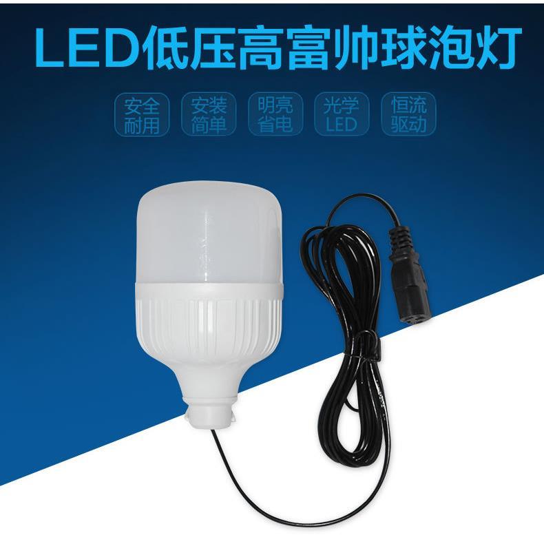 12V-48V60V72V80V电瓶电动车灯泡蓄电池低压摆地摊LED球泡夜市灯