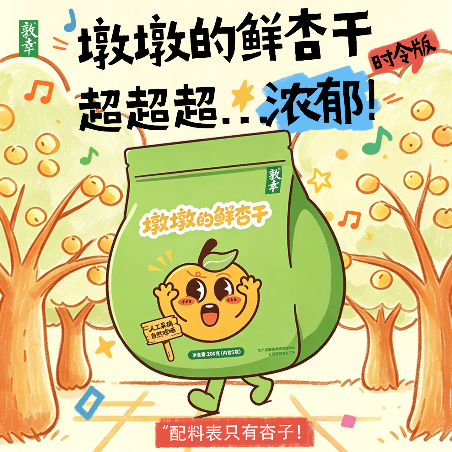 敦幸戈壁杏干甘肃特产自然风干晾晒杏肉非蜜饯果干泡水200g