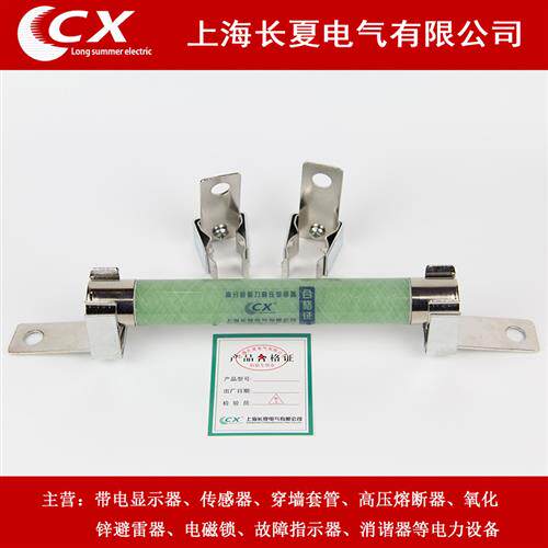 高压熔断器电压互感器XRNP1-10/12KV/0.5A  1A带夹子