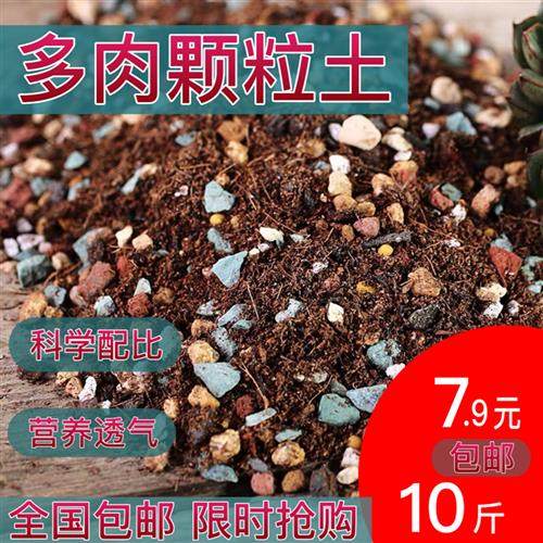 多肉营养颗粒土叶插小苗老桩移盆包邮度夏防腐透气专用种植通用土,鲜花速递/花卉仿真/绿植园艺,介质/营养土,淘宝优惠券,粉丝福利购,淘宝优惠卷