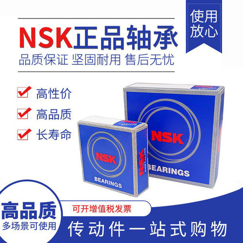 NSK进口高速轴承6300ZZ1