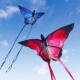 Beautiful Crystal butterfly YongJian kites Red Butterfly kit