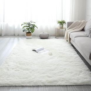 Room Bedroom Mat Carpet 地毯子 Floor Living Rug Plush Fluffy