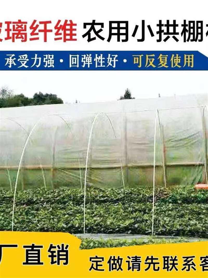 种菜棚蔬菜保温室大棚内棚育苗小拱棚支架杆子育苗玻璃钢纤维弓子