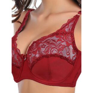 C D Cup Big Size Women Bra Lace Hollow Out Ultrathin Bras