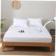 Bed Replace Fitted with Waterproof Band Sheet Elastic Mattre