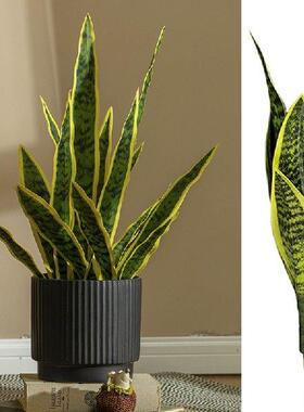 32/37Cm Sansevieria Branch Artificial Plants Indoor