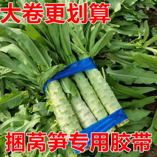 捆莴笋专用胶带蓝色蔬菜捆扎胶纸莴笋打捆神器大卷绿色蔬菜胶带