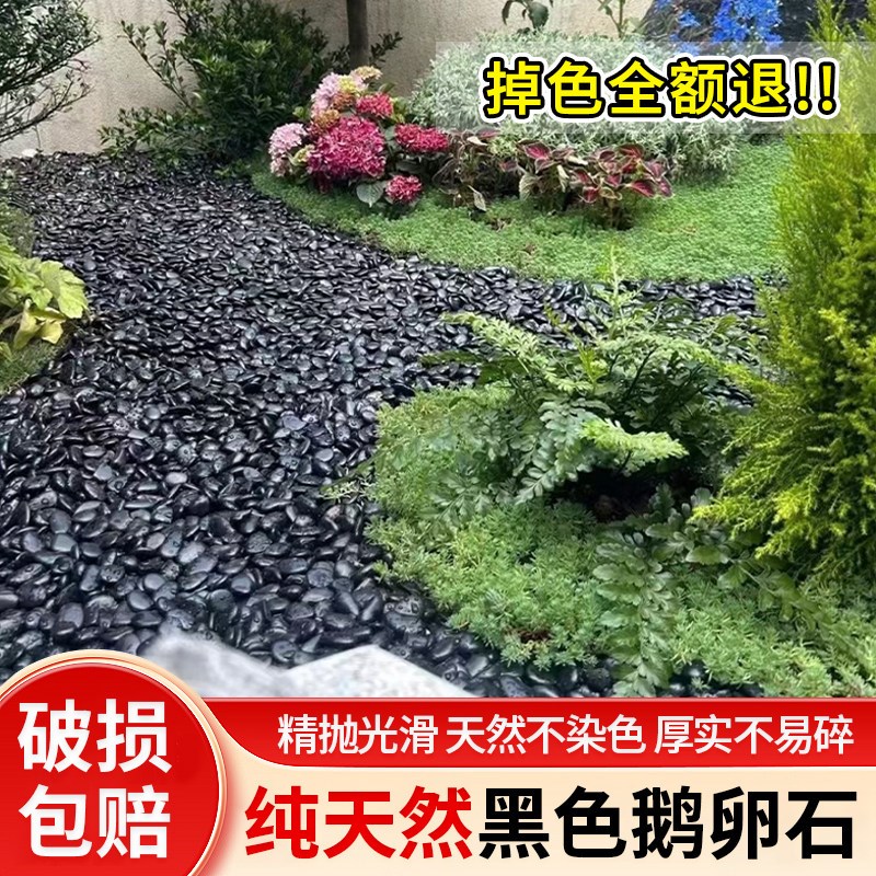 速发200斤黑色鹅卵石大小黑石头庭院铺地铺路花园造景雨花石原石