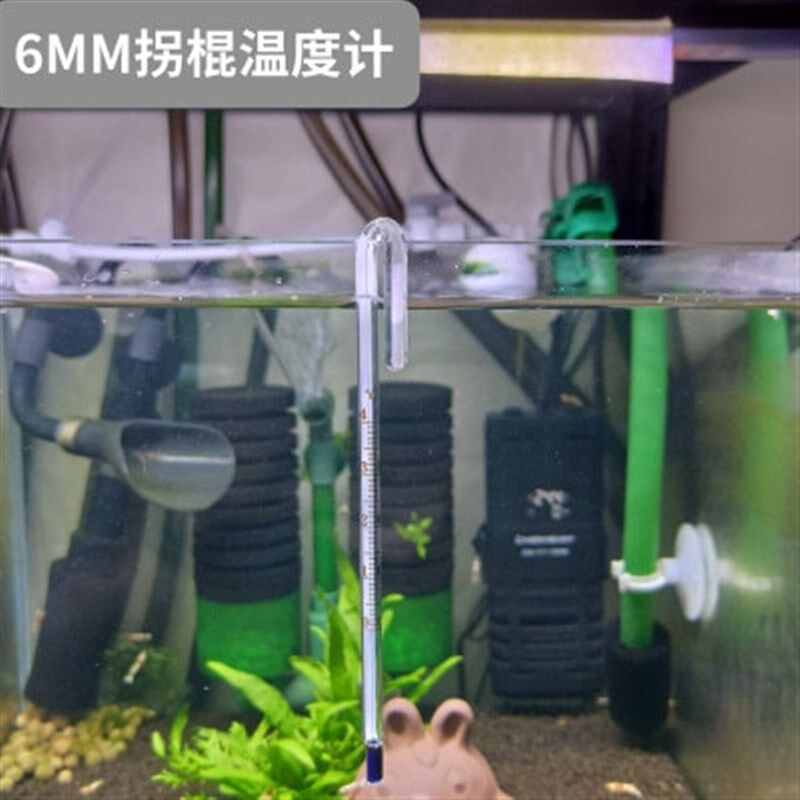 速发度缸温水计水族专用电子数显度族箱高精鱼贴片式测水温计