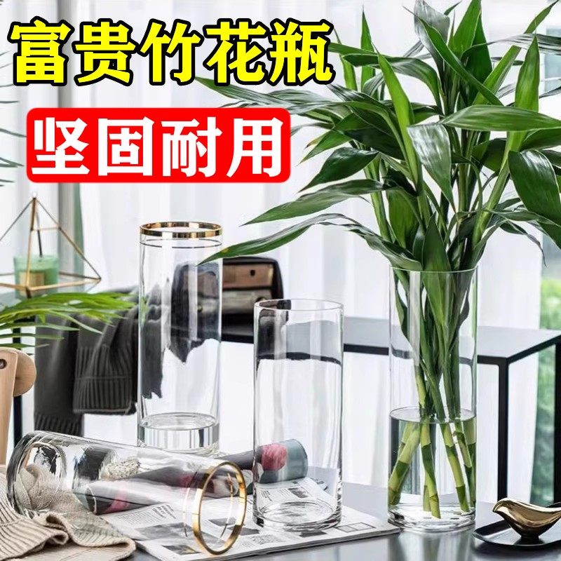 速发富摆竹花瓶专用水培植物大器皿玻璃醉明养水竹雪柳马透木客厅