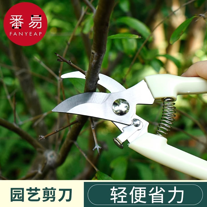 剪刀/园艺B1p158-修枝剪树枝花卉修花菜地园林采摘水果树家用省