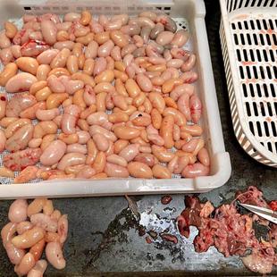 新鲜鸡腰子鸡子鸡卵蛋蛋小鸡腰子公鸡阉蛋睾丸鸡肾鸡宝鸡春500克