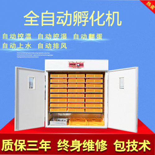 3000多枚鹌鹑全自动孵化机