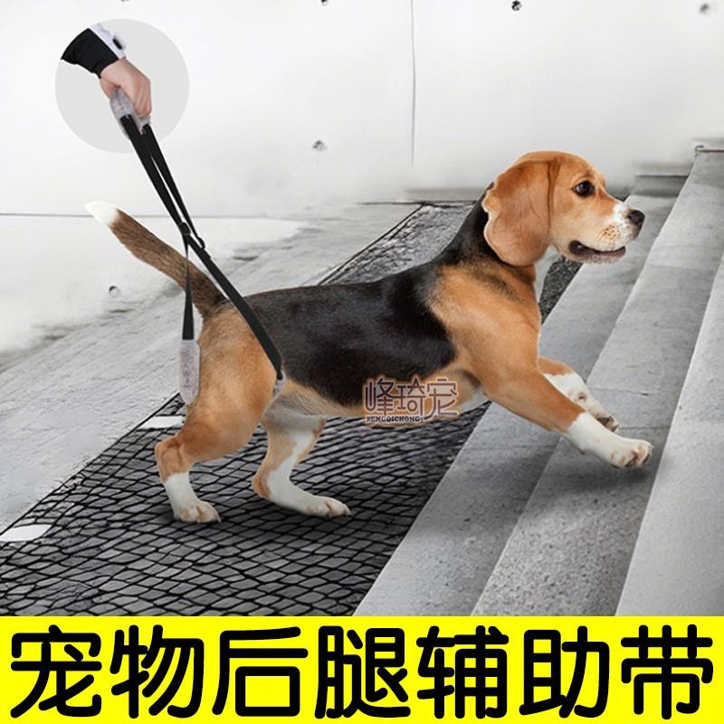 宠物狗狗后腿无力辅助带高领老年犬助力带瘫痪犬残疾犬上下楼后肢