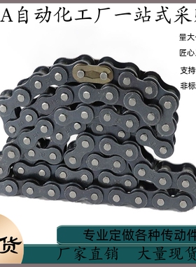 链条VMB VMC VMD VMF VMG VMK VML VMN01-25 35 40 50 60 80 100