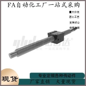 滚珠丝杠LCG49-25-5 10-L400 L500 L600-F27 F30 F45-P10 P12 P15