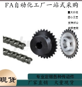 链轮VLN02-100-10 11 -D25 D28 D30 D35 D38 D40 D42 D45 D48 D50